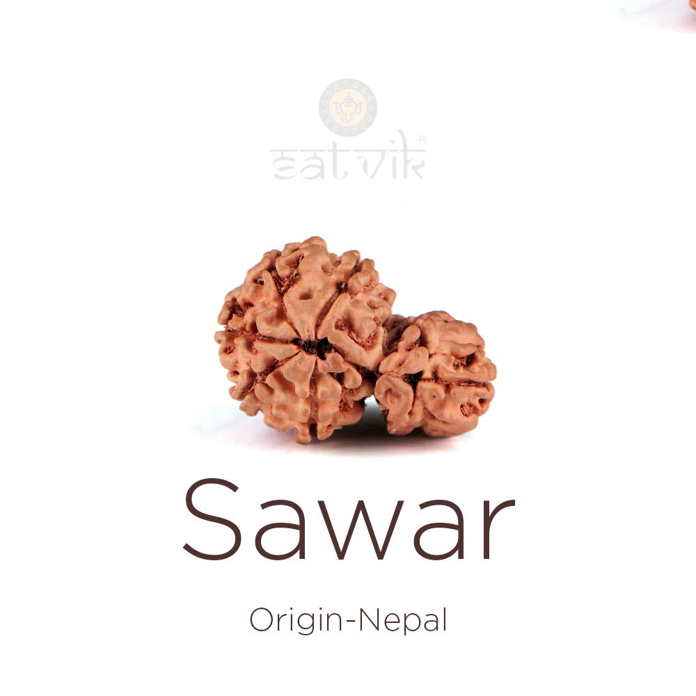 Sawar Rudraksha: The Sacred Symbol of Unity, Harmony &amp; Spiritual Growth