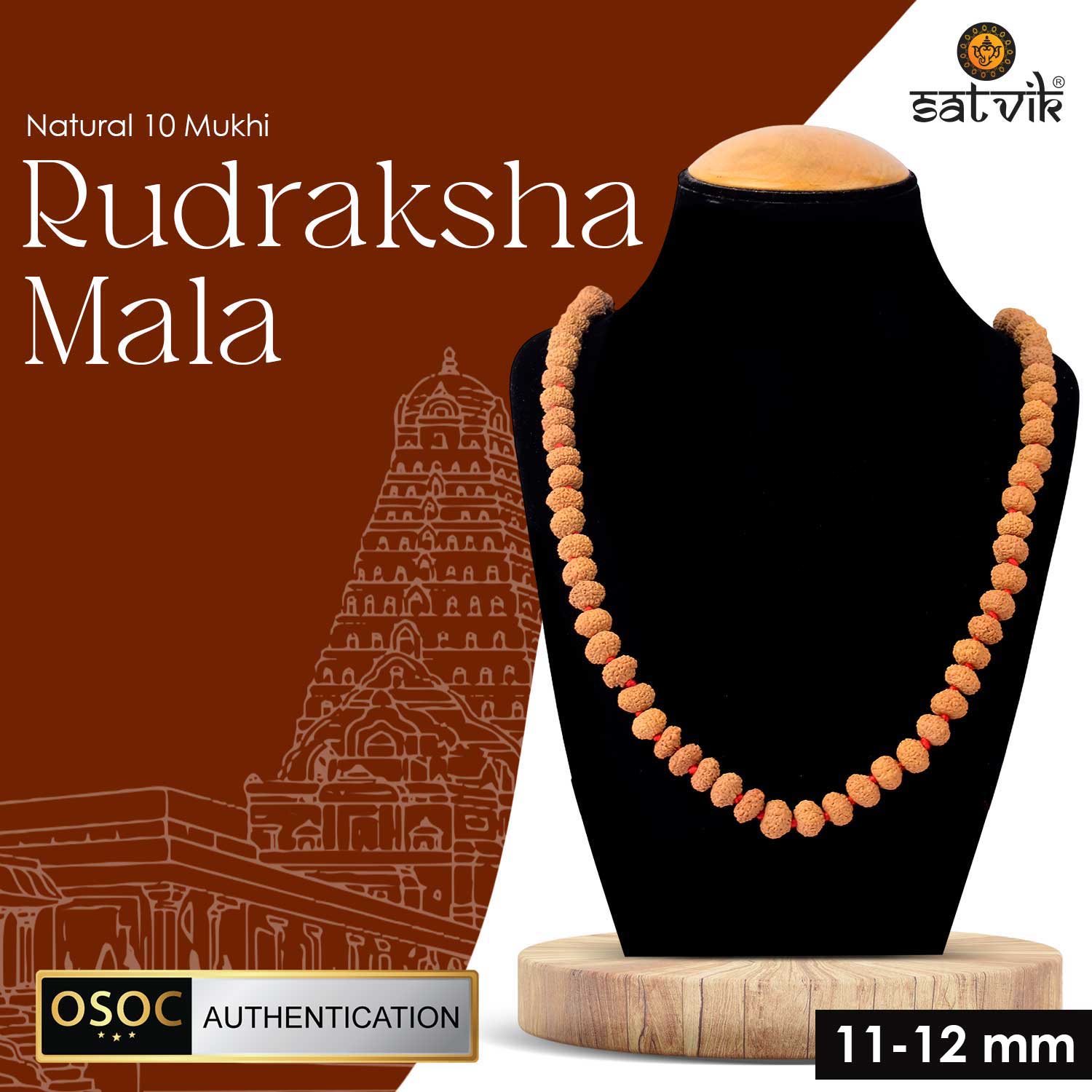 Mull Reksha 10 Mukhi Rudraksha Mala 11-12mm | Rudrapure.com – RudraPure™