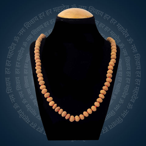 10 Mukhi Rudraksha Mala 11-12mm | India's Most Authentic  Lab & X-ray Certified Rudraksha Collection – Rudrapure.com