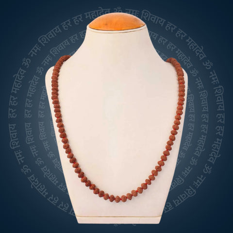 10 Mukhi Rudraksha Mala 8-9mm | India's Most Authentic  Lab & X-ray Certified Rudraksha Collection – Rudrapure.com