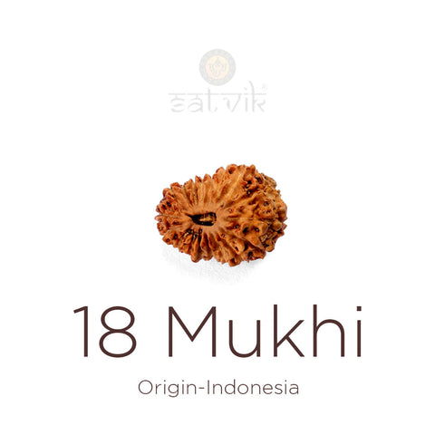 18 Mukhi Rudraksha bead, natural Indo eighteen-face Rudraksha. India's Most Authentic  Lab & X-ray Certified Rudraksha Collection – Rudrapure.com
