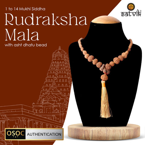 1–14 Mukhi Siddh Rudraksha Mala with Asht Dhatu Capping 100% Original & Certified