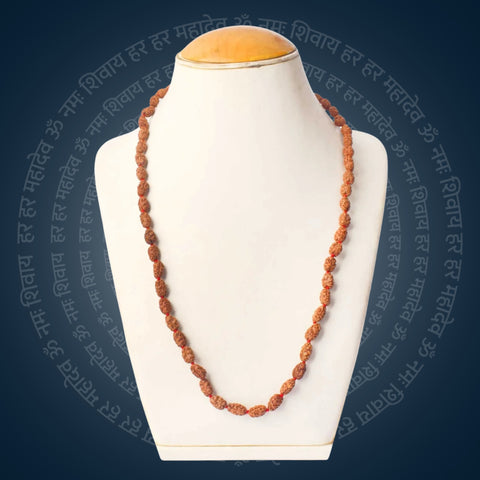 2 Mukhi Rudraksha Mala (6-7mm) | India's Most Authentic  Lab & X-ray Certified Rudraksha Collection – Rudrapure.com