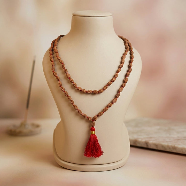 2 Mukhi Rudraksha mala natural Indo two face Rudraksha for harmony.India's Most Authentic  Lab & X-ray Certified Rudraksha Collection – Rudrapure.com