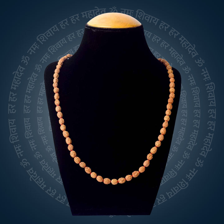 4 Mukhi Rudraksha mala 6-7mm | India's Most Authentic  Lab & X-ray Certified Rudraksha Collection – Rudrapure.com