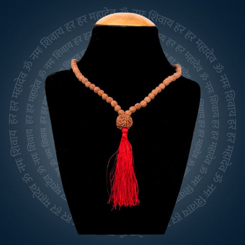 5 Mukhi Rudraksh Mala with Sumeru Bead | India's Most Authentic  Lab & X-ray Certified Rudraksha Collection – Rudrapure.com