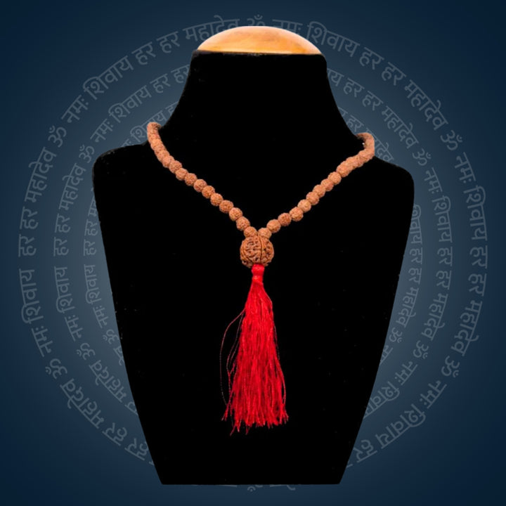 5 Mukhi Rudraksh Mala with Sumeru Bead | India's Most Authentic  Lab & X-ray Certified Rudraksha Collection – Rudrapure.com