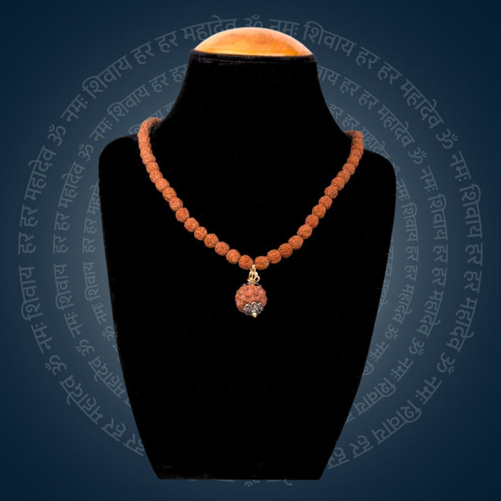 5 Mukhi Rudraksha Mala with Silver Capping Bead | India's Most Authentic  Lab & X-ray Certified Rudraksha Collection – Rudrapure.com