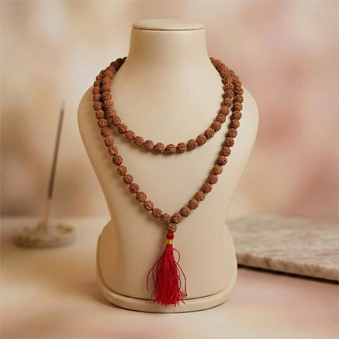 6 Mukhi Rudraksha mala natural Indo six face Rudraksha for confidence. India's Most Authentic  Lab & X-ray Certified Rudraksha Collection – Rudrapure.com