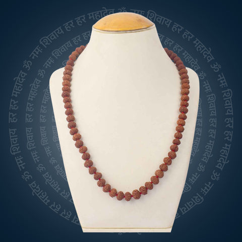 8 Mukhi Rudraksha Mala 10-11mm | India's Most Authentic  Lab & X-ray Certified Rudraksha Collection – Rudrapure.com