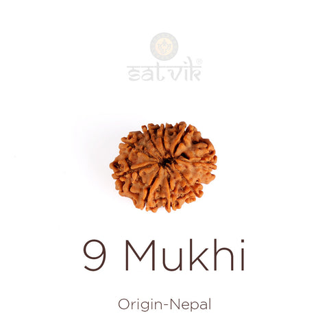 9 Mukhi Rudraksha | India's Most Authentic  Lab & X-ray Certified Rudraksha Collection – Rudrapure.com