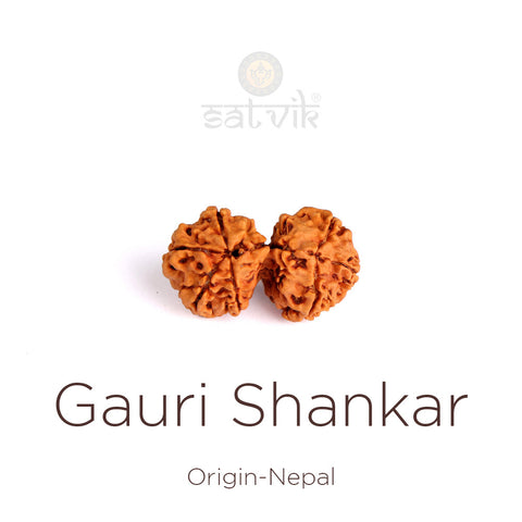 9 Mukhi Gauri Shanker Rudraksha | India's Most Authentic  Lab & X-ray Certified Rudraksha Collection – Rudrapure.com
