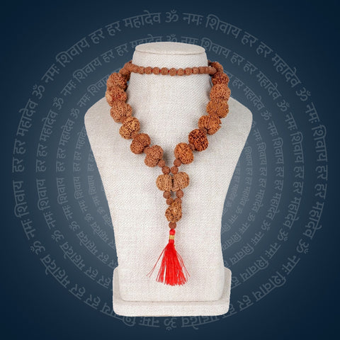 Siddha Mala with 1 Mukhi Sawar | India's Most Authentic  Lab & X-ray Certified Rudraksha Collection – Rudrapure.com
