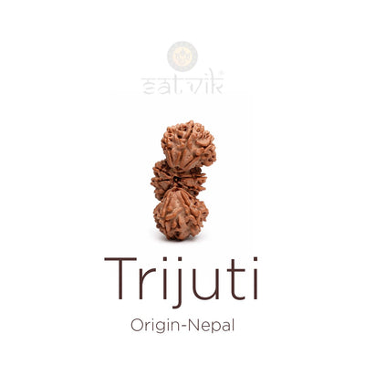 100% Authentic Nepali Rudraksha | Lab & X-Ray Certified | Rudrapure ...