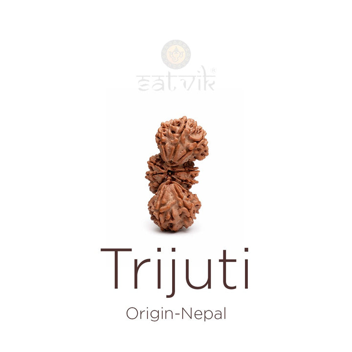 Trijuti Rudraksha | India's Most Authentic  Lab & X-ray Certified Rudraksha Collection – Rudrapure.com