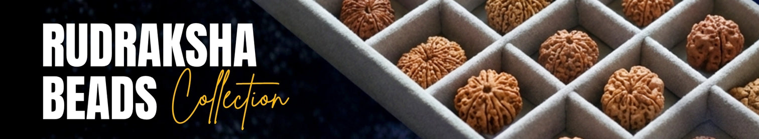 India's Most Authentic & Lab-Certified Rudraksha – Rudrapure.com